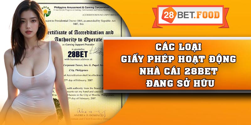 Các loại giấy phép hoạt động nhà cái 28Bet đang sở hữu