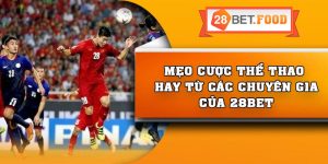 Mẹo cược thể thao hay từ các chuyên gia của 28Bet