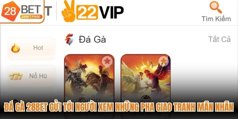Đá gà 28BET gửi tới người xem những pha giao tranh mãn nhãn