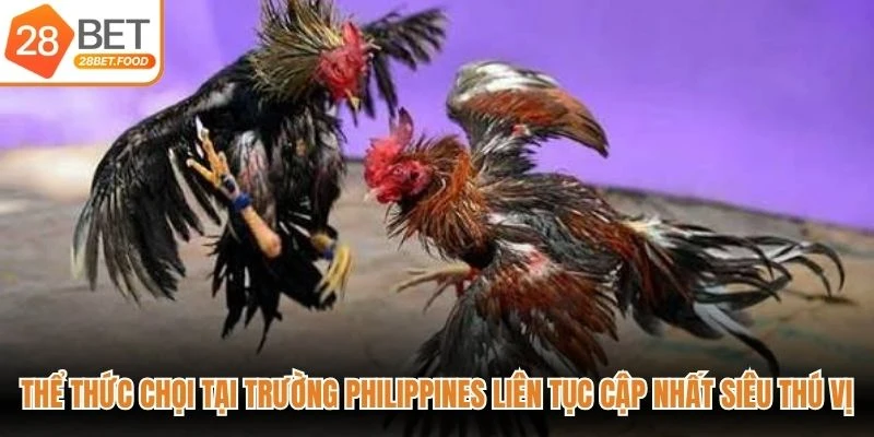 Thể thức chọi tại trường Philippines liên tục cập nhất siêu thú vị