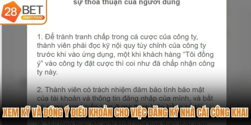Xem kỹ và đồng ý điều khoản cho việc đăng ký nhà cái công khai